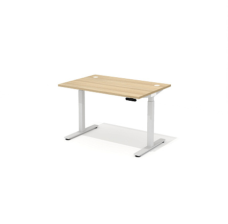 DD-80-4.3 + DD-1601-DD02 Прямой стол (подъёмный механизм) с заглушками Drive швейцарский вяз