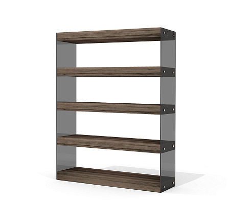 GS-6 Стеллаж Глазго лимба темная/стекло тонированное