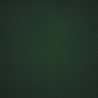 Экокожа тёмно-зелёная Art-Vision 208