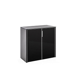 132H051 Шкаф низкий 2 двери 96,6x45,2x88,2 POSITANO /Gala 1E1E черное стекло